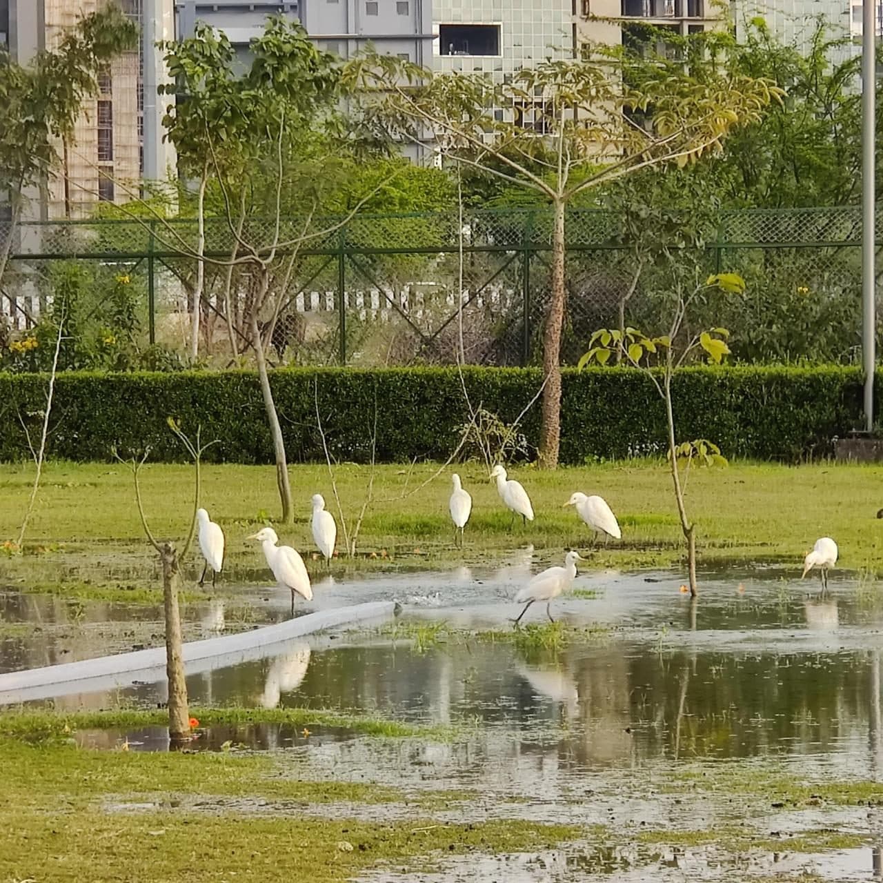 Noida Biodiversity Park photo 1
